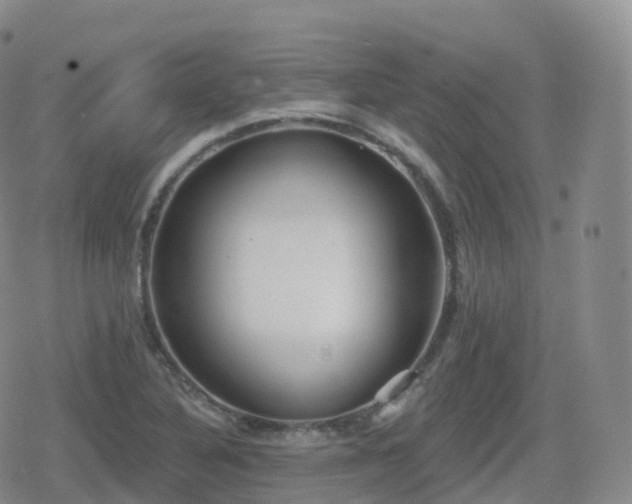 X0000080721316200612151149