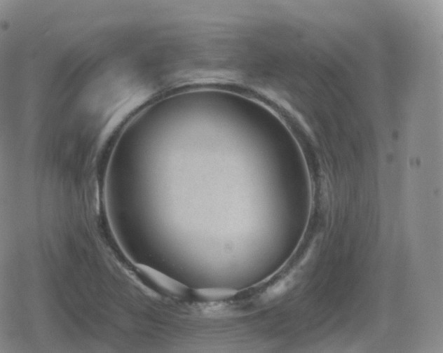 X0000080721317200612151149