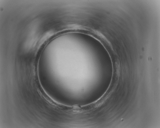 X0000080721318200612151149