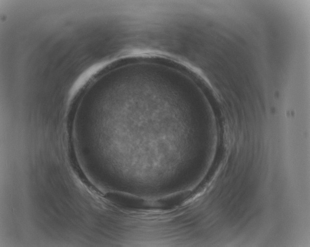 X0000080721319200612151149