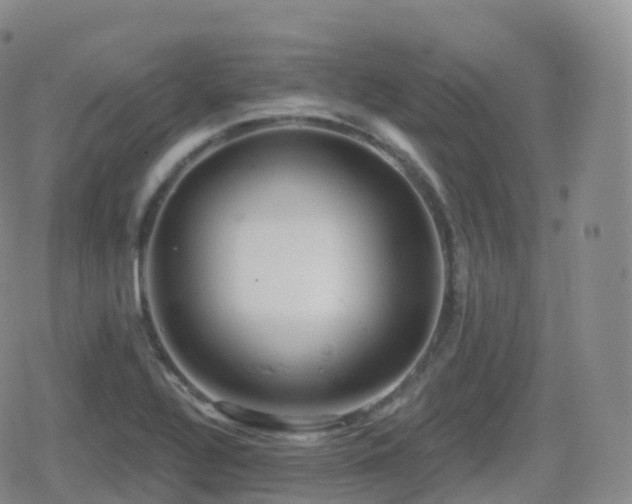 X0000080721320200612151149