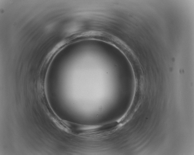 X0000080721321200612151149