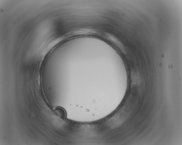 X0000080721322200612151149