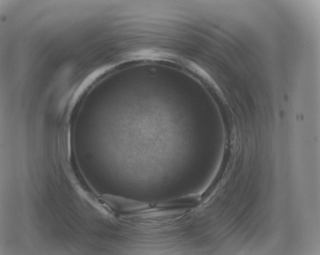 X0000080721323200612151149