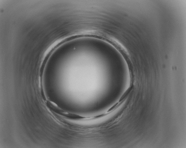 X0000080721324200612151149