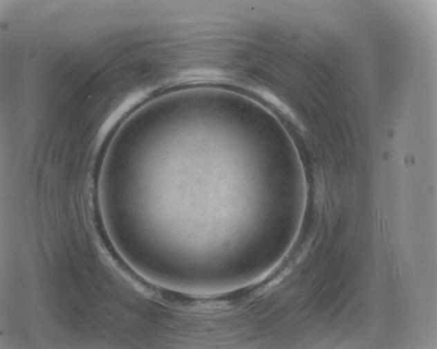 X0000080721325200612151149