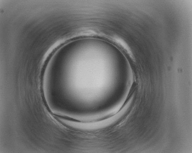 X0000080721326200612151149