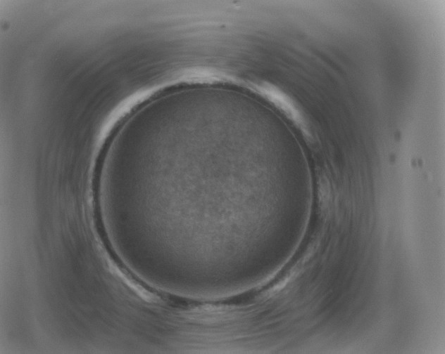 X0000080721327200612151149