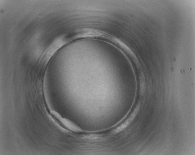 X0000080721329200612151149