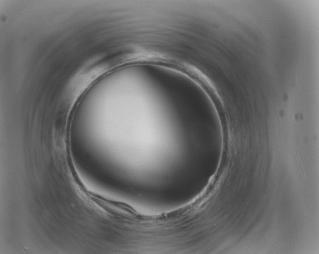 X0000080721330200612151149