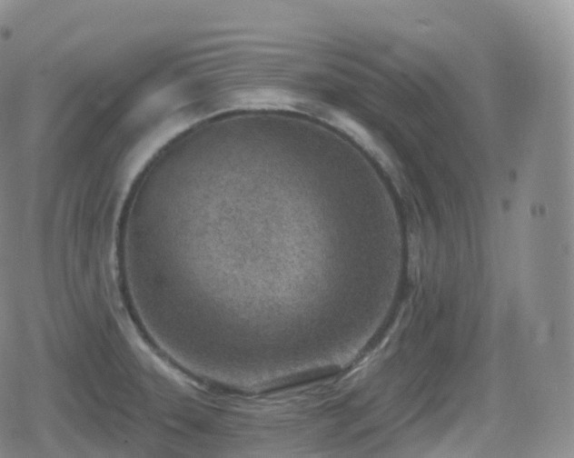 X0000080721331200612151149