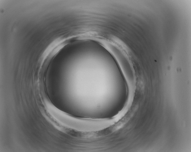 X0000080721332200612151149