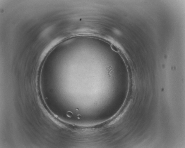 X0000080721333200612151149