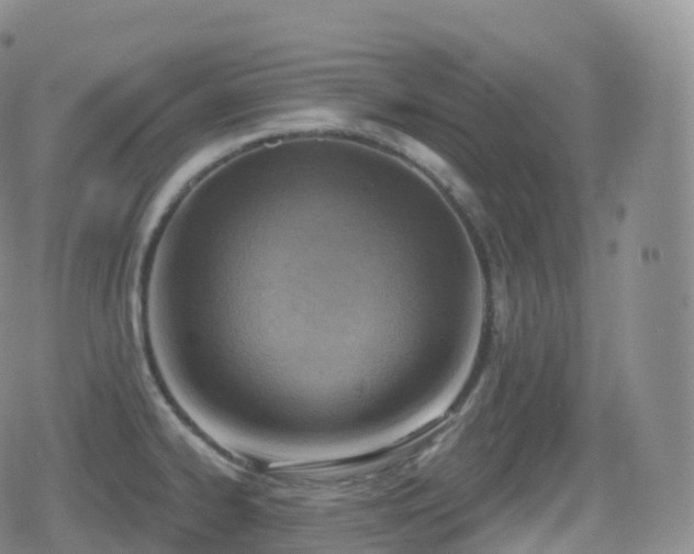 X0000080721334200612151149