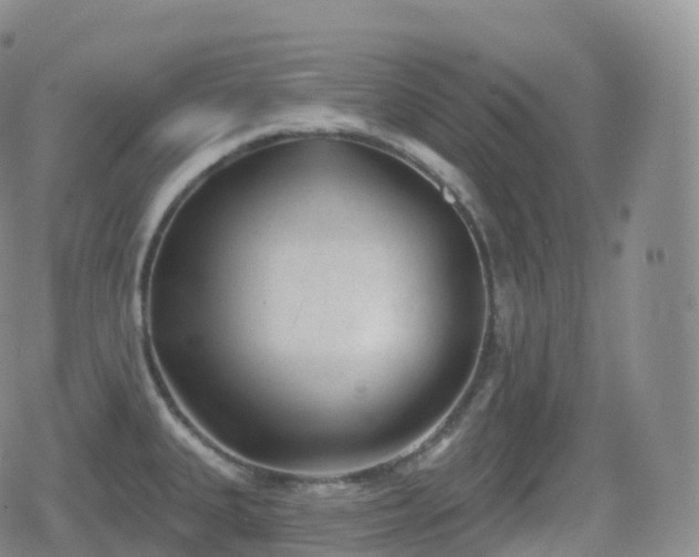 X0000080721335200612151149