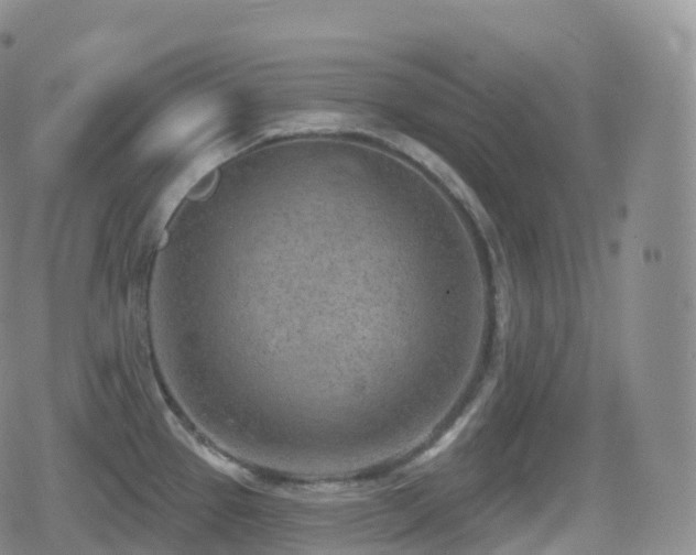 X0000080721337200612151149