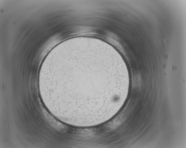 X0000080721338200612151149