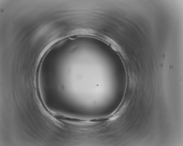 X0000080721339200612151149