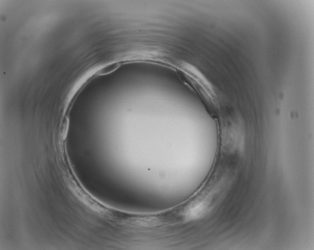 X0000080721340200612151149