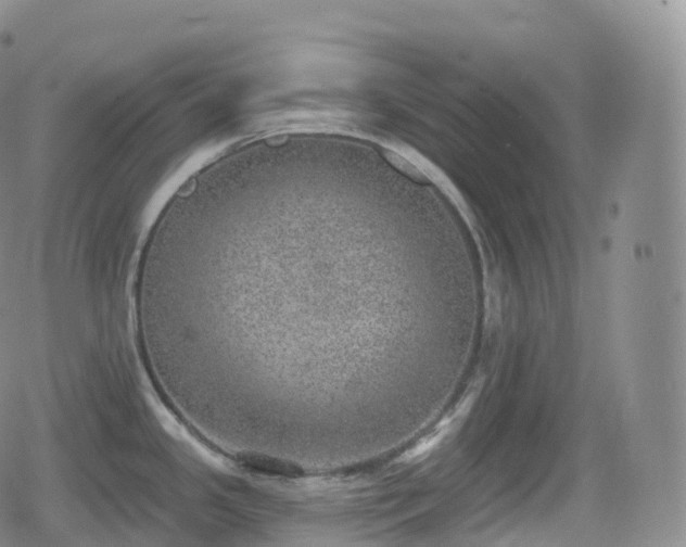 X0000080721341200612151149