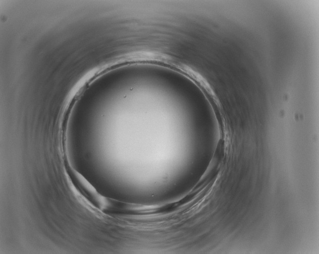 X0000080721342200612151149