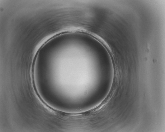 X0000080721343200612151149