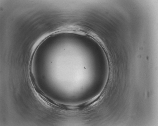 X0000080721344200612151149