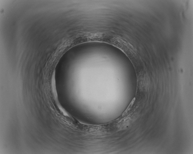 X0000080721345200612151148