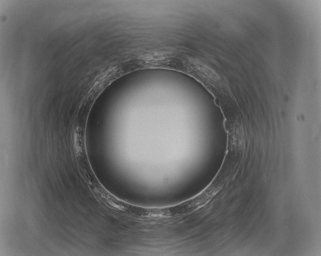 X0000080721346200612151148