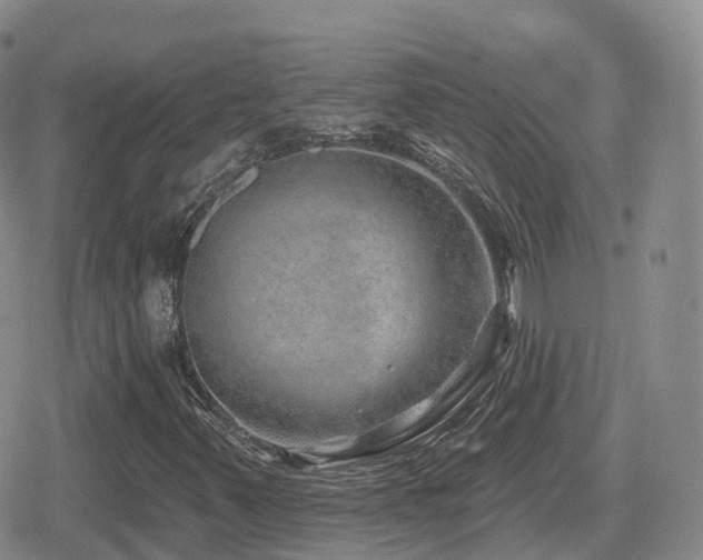 X0000080721347200612151148