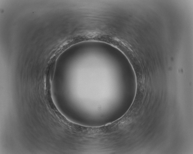 X0000080721349200612151148