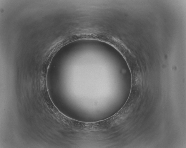 X0000080721350200612151148