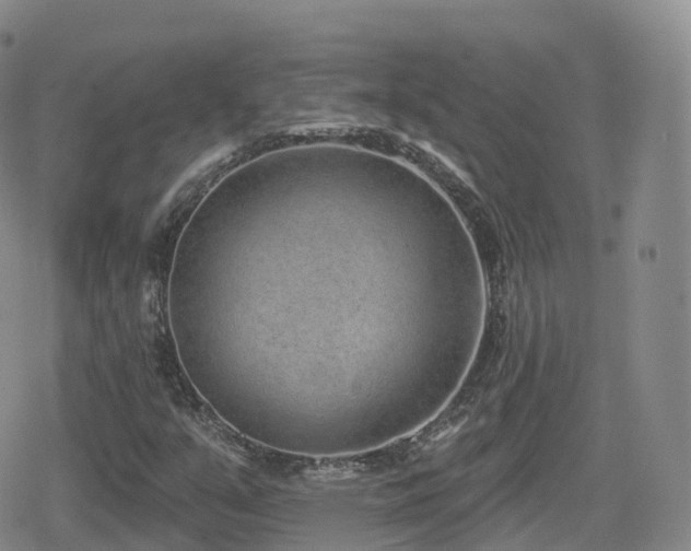 X0000080721351200612151148