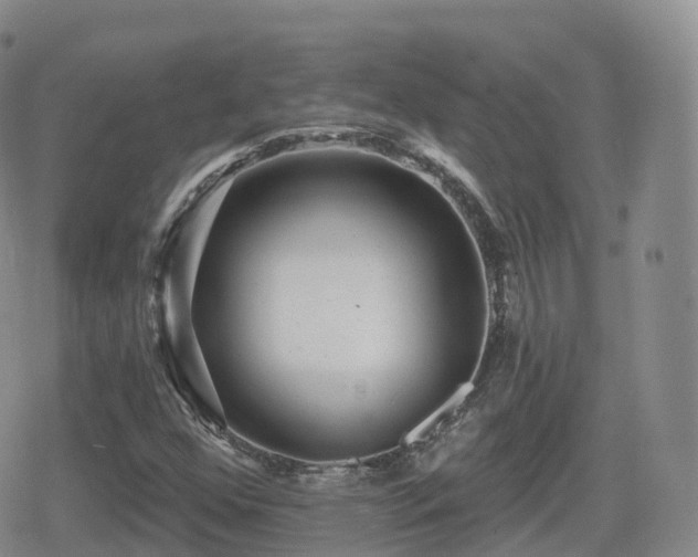 X0000080721352200612151148