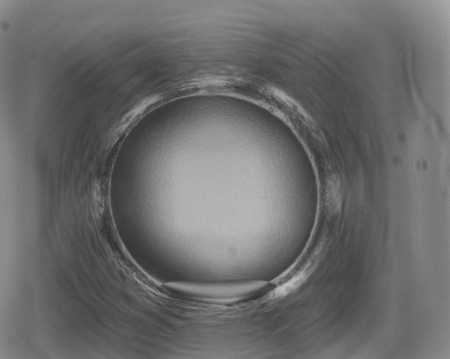 X0000080721353200612151148