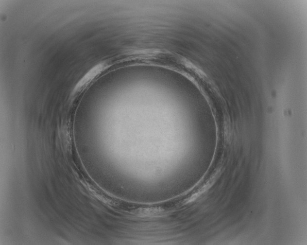 X0000080721354200612151148