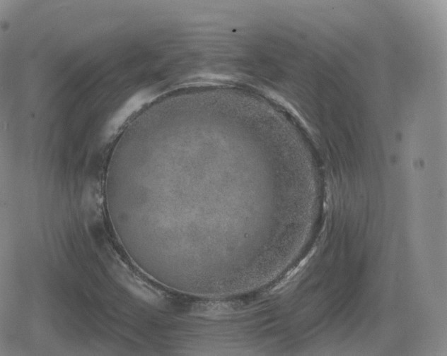 X0000080721355200612151148