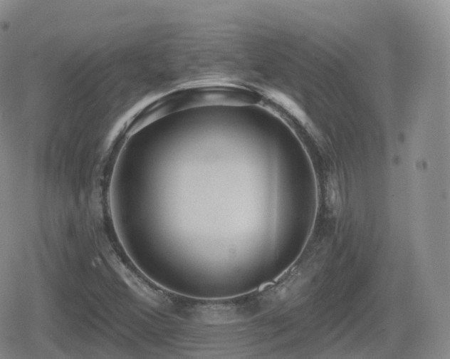 X0000080721356200612151148