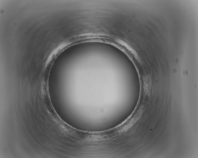 X0000080721357200612151148