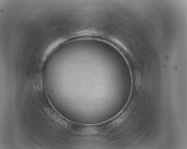 X0000080721358200612151148