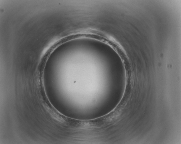 X0000080721360200612151148