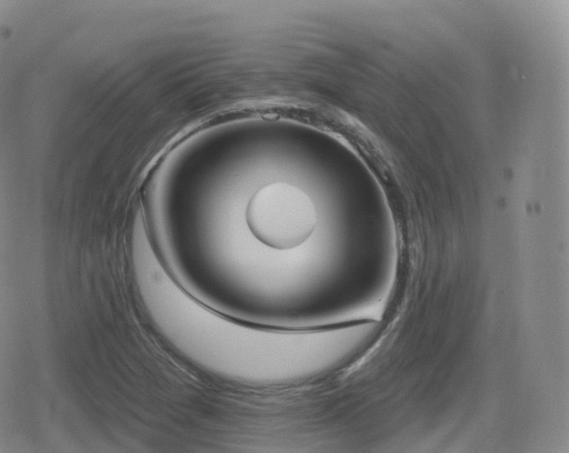 X0000080721361200612151148