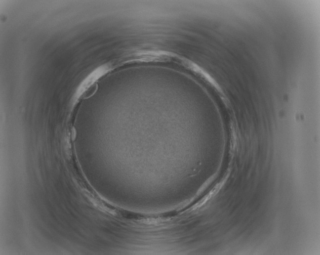 X0000080721362200612151148