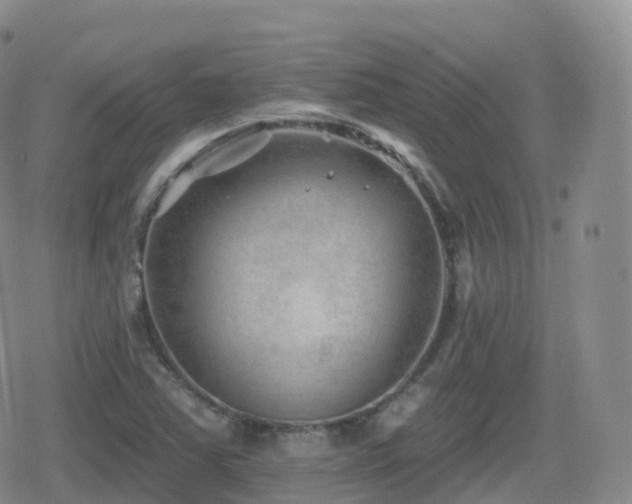 X0000080721363200612151148