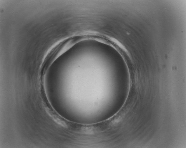 X0000080721364200612151148