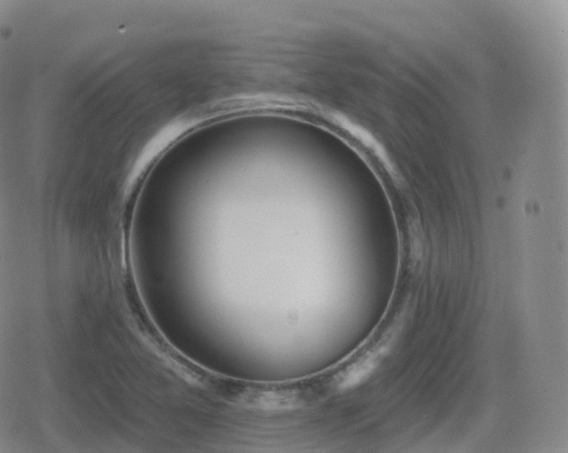 X0000080721365200612151148