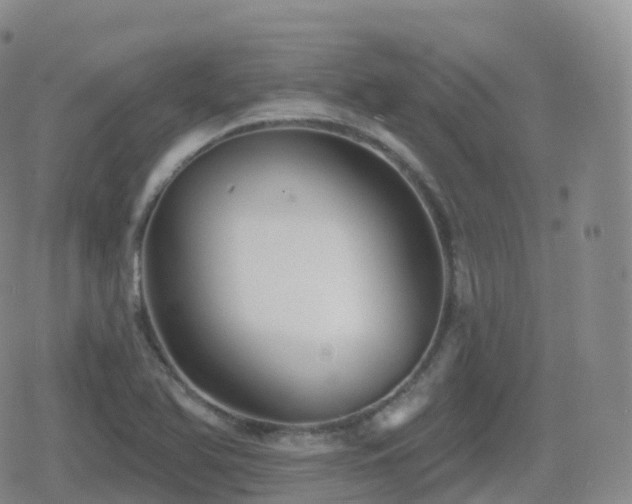 X0000080721366200612151148