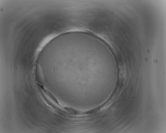 X0000080721367200612151148