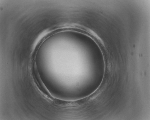 X0000080721368200612151148