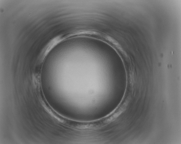 X0000080721369200612151148